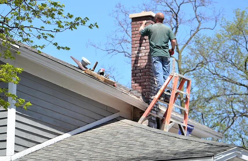 Chimney & Fireplace Inspections Services in Weslaco, TX